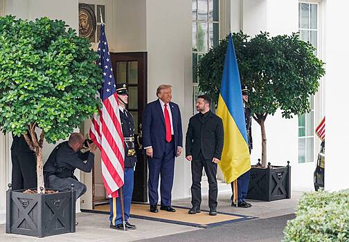 Раскрыт план переговоров президентов США и Украины