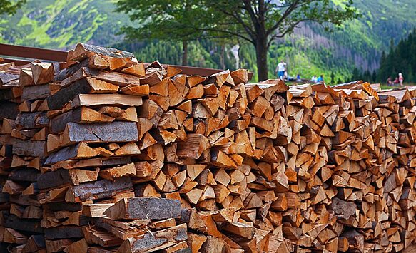 Жители Германии боятся блэкаута, поэтому везут дрова из лесов