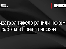 Ассенизатора тяжело ранили ножом во время работы в Приветнинском