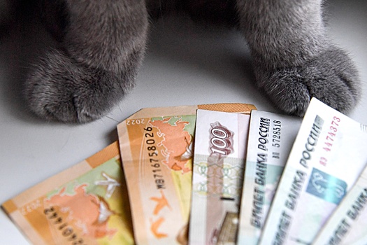 Покупка кормов для животных вошла в "зеленую зону" расходов россиян