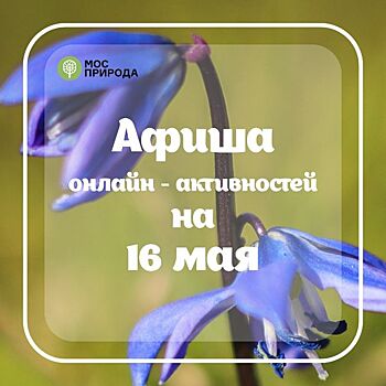 Онлайн-мероприятия по экологии пройдут для жителей Проспекта Вернадского дистанционно