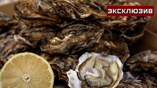 Врач рассказал, какую опасность могут нести сырые морепродукты