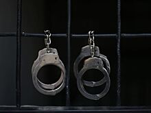 Хакера из РФ осудили на 12 лет тюрьмы в США