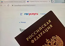 Любовь на "Госуслугах": в России предложили создать раздел для знакомств на официальном портале