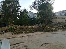 Балаковская администрация прокомментировала свое бездействие по ликвидации последствий урагана