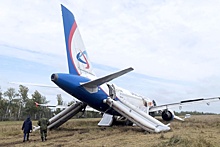 Росавиация: Причиной посадки A320 на пшеничном поле стали ошибки экипажа