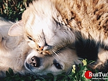 Заседание Государственного совета по образованию состоится в августе