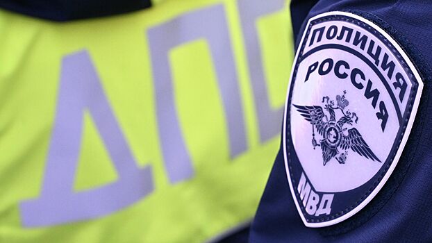 ВСС призвал рассылать нарушителям ПДД «письма счастья» об отсутствии ОСАГО