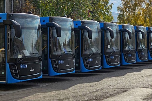 В Красноярск доставили первую партию экоавтобусов