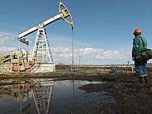 Нефти предрекли подорожание до $100
