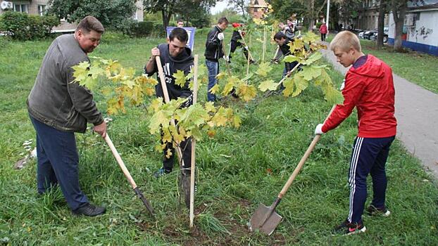 Город вздохнет полной грудью. 36 тысяч деревьев посадят в Люберцах