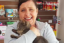 Потерявшийся кот из Австралии нашелся в 14 тыс. км от дома