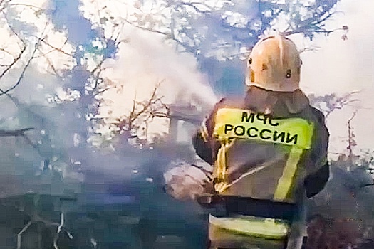 Под Новороссийском остановили распространение мощного лесного пожара