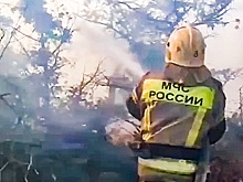 Под Новороссийском остановили распространение мощного лесного пожара