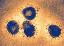 Три года коронавирусу: вспоминаем, как это было