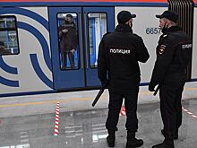 Женщина с ребенком на руках упала на пути на станции метро "Коломенская"