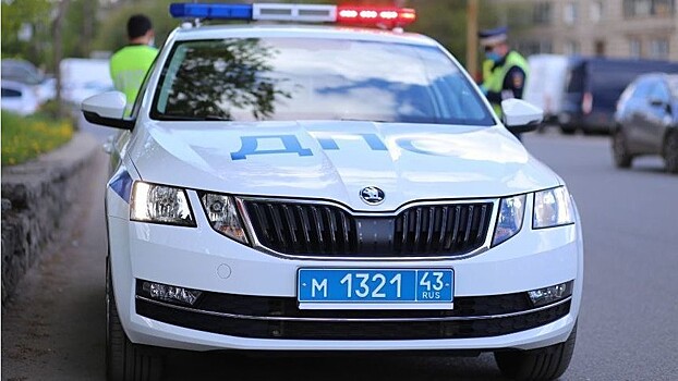 46 пьяных и 33 бесправника. В ГИБДД подвели неутешительные итоги «сплошных проверок»