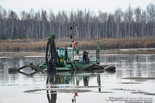 Не гонялись бы вы, мэр, за дешевизной