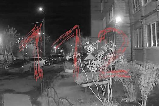 Россиянин разгромил машины соседей и подрался с депутатом