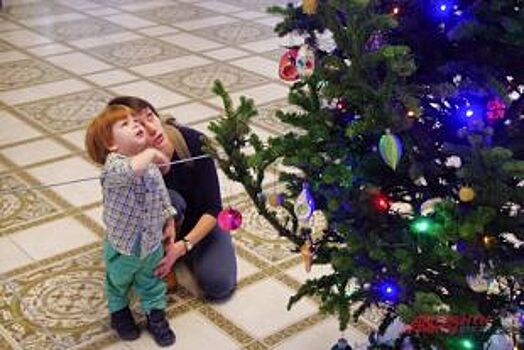 Новосибирцы выставили новогоднюю ёлку из квартиры 1 октября