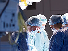 Биологи из России выяснили, как оградить сердце от постоянного стресса