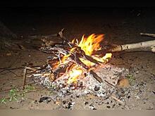Потенциальных поджигателей заметили в Атамановке