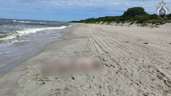 Отдыхающие заметили долгое отсутствие: в Балтийске из моря достали тело 39-летнего жителя области