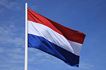 СМИ: Власти Нидерландов перехватили партию кокаина весом 1,3 тонны