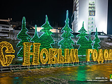 Полный локдаун в Приморье перенесли на Новый год