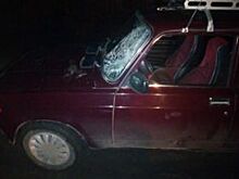 В Сараевском районе пьяный пенсионер сбил пешехода