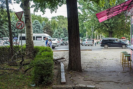 Временами дождь — погода в Бишкеке на 24 июня