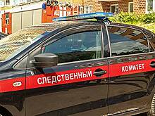 СК предъявил обвинение в причинении тяжкого вреда здоровью скальпировавшим юношу в Электростали