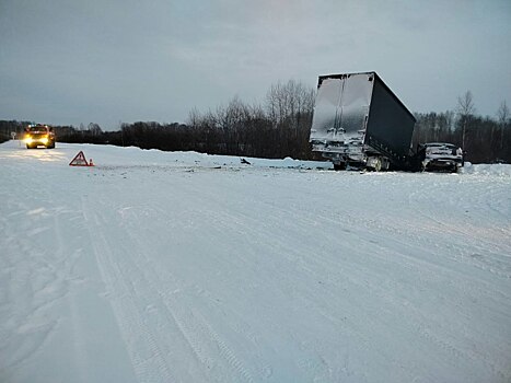 Водитель иномарки погиб в ДТП с ГАЗелью под Новосибирском