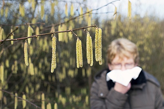 "Готовься к аллергии зимой": Врач-аллерголог рассказал, как подготовиться к сезону весеннего поллиноза