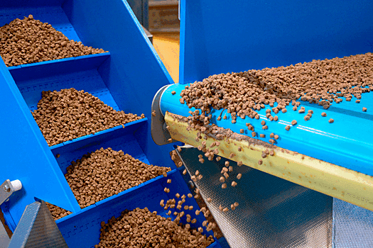 Эксперт Финуниверситета объяснил выгоды от маркировки кормов для животных