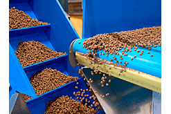 Эксперт Финуниверситета объяснил выгоды от маркировки кормов для животных