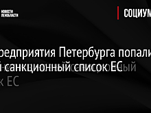 Два предприятия Петербурга попали в новый санкционный список ЕС