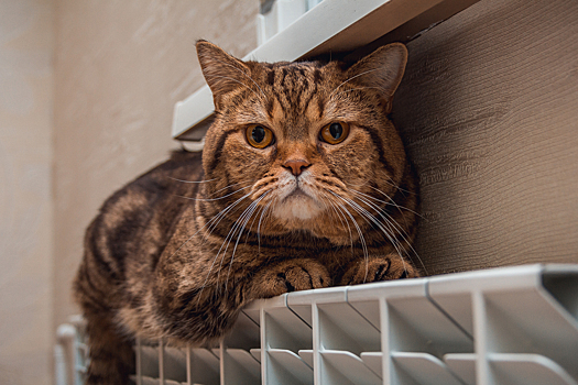 Кузбасский город внезапно лишился отопления в декабре