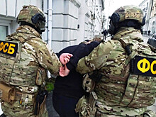 Жителя Петербурга задержали за оправдание терроризма