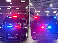 Видео: полиция Чечни получила три новых Cadillac Escalade