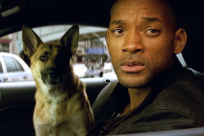 “Я — легенда”, 2007. Все события картины режиссера Френсиса Лоуренса, снятой по одноименному роману Ричарда Мэтисона, закручиваются вокруг главного героя, единственного человека в мире, которому удалось уцелеть во время эпидемии. Эту роль блестяще исполнил Уилл Смит.