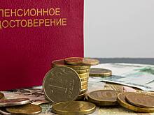 В Госдуме заявили, что некоторые пенсионеры получат пенсию за январь в декабре