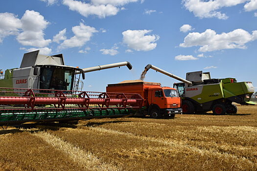 Предприятие им И.П. Ревко завершило уборку ячменя с показателем 68,6 ц\га, идёт сбор пшеницы