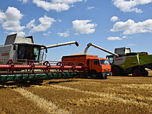 Предприятие им И.П. Ревко завершило уборку ячменя с показателем 68,6 ц\га, идёт сбор пшеницы