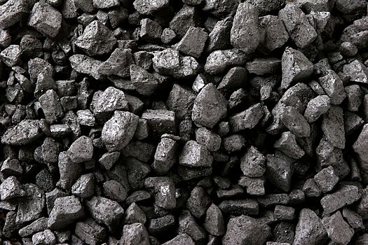 Собрана самая большая в мире коллекция образцов углей