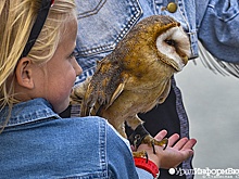 В Челябинске запретят уличные фотосессии с животными