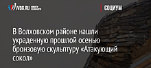 В Волховском районе нашли украденную прошлой осенью бронзовую скульптуру «Атакующий сокол»