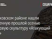 В Волховском районе нашли украденную прошлой осенью бронзовую скульптуру «Атакующий сокол»