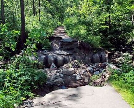 Тротуар у Ушковского ручья на Приморском шоссе восстановят