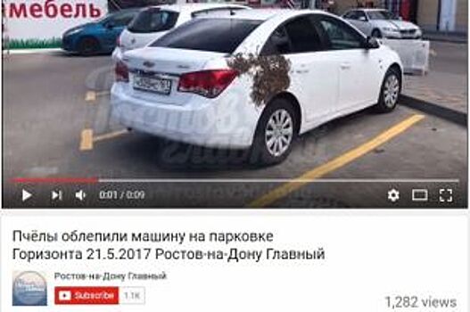 Облепивший иномарку пчелиный рой попал на видео в Ростове